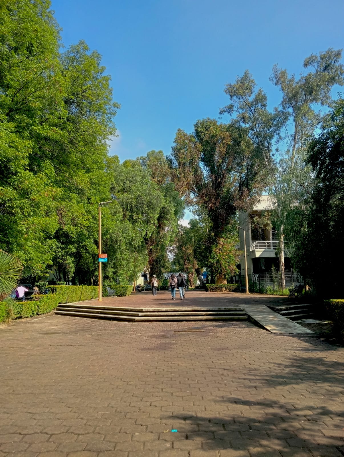 Sobre las humanidades ambientales