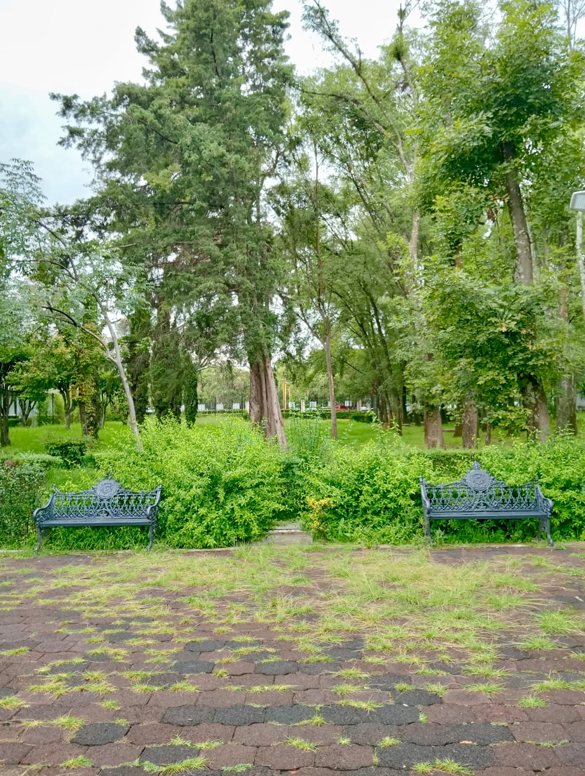 Sentido de lugar y ecología urbana
